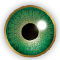 AIR OPTIX® COLORS en verde